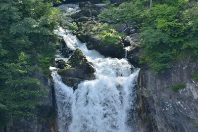 DSC_3964 (Large).JPG